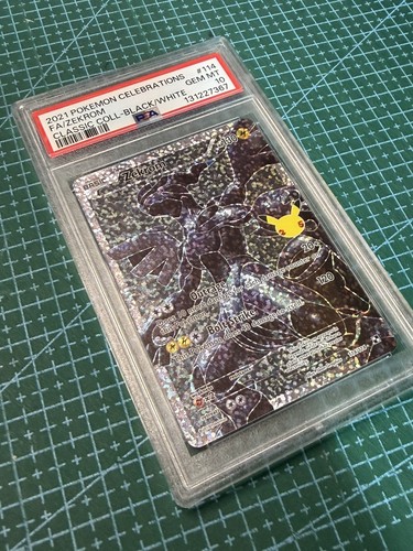Pokémon tcg zekrom - pokémon,